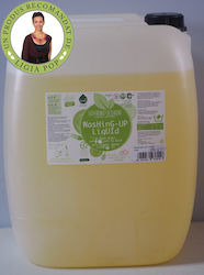 Biolu Eco-friendly Bulk Dishwashing Detergent 20l