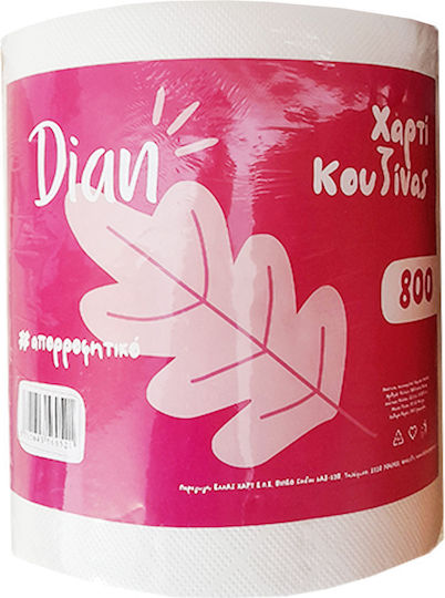 Dian Кухненска хартия 2 Листа (800гр/Ролка) 5205643560521