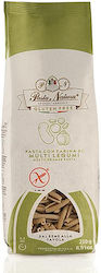 Pasta Natura Casarecce Vegan Produs Organic Fara Gluten 250gr Pasta Natura Casarecce Vegan Produs Organic Fara Gluten 250gr