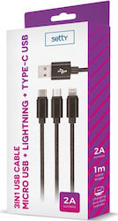 Setty USB към Micro USB Lightning Type-C Кабел 1м 176GSM043225