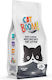 Cat Boom Nisip pentru Pisici 20lt