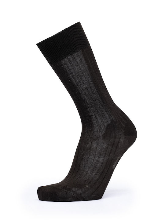 Ulisse Men's Socks Brown