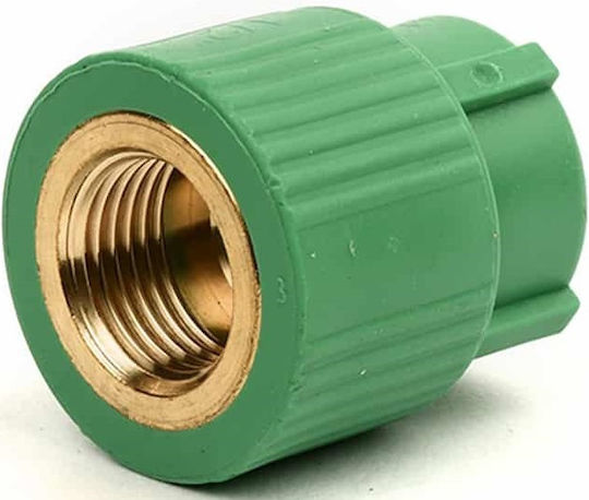 Pneumatische Verschraubung Ppr Weiblich 25 x 3/4'' Aquatherm