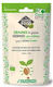 Organic Broccoli Rabe Seeds Sprouting 150g Germline