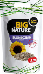 Semințe De Floarea-Soarelui 1kg Big Nature