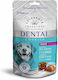 Celebrate Freshness Biscuit Dog with Duck, Beef and Olive Oil 120gr