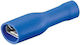 Blue Insulated Female Spade Connector 6.4x0.8mm Goobay