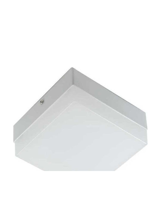 Lightplanet Pătrat Panou LED Putere 24W cu Alb Cald Lumini