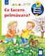 Ce Facem Primavara? - Andrea Erne