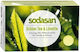 Sodasan Bio Grüne Seife Mit Grünem Tee Limette 100g