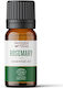 Bio Ätherisches Öl Rosmarin 5ml Wooden Spoon