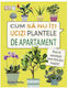 Cum Sa Nu Iti Ucizi Plantele De Apartament - Veronica Peerless