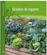 Gradina De Legume - Helga Voit