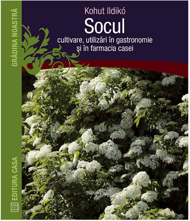 Socul: Cultivare, Utilizare In Gastronomie Si In Farmacia Casei - Kohut Ildiko