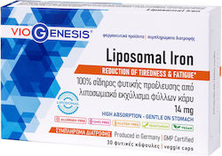 Viogenesis Liposomal Iron 14mg 30 κάψουλες Viogenesis Liposomal Iron 14mg 30 κάψουλες