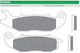 Motorcycle Brake Pads Fd0444bt1 Medley125 150 Pcx125 18-19 Front Newfren F693