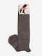 Artisti Italiani Women's Socks Gray