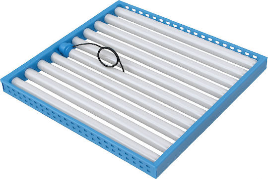 Multifunctional Rack-Roller 60-64 Eggs Slow Motor Without Thermostat-Direct Connection 220v-240v 60-64 Eggs Motor 12v Size 42x43x4