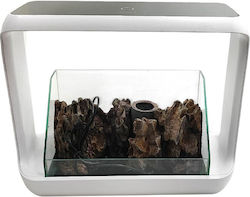 Rock Garden Kit Terrarium Zwd-1