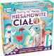 Tactic Educational Game