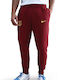 Barcelona Sweatpants with Elastic Team Red / Opti Yellow
