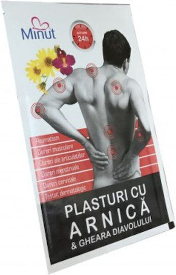 Plasture cu Arnica și Gheara Diavolului 9x14 Cm