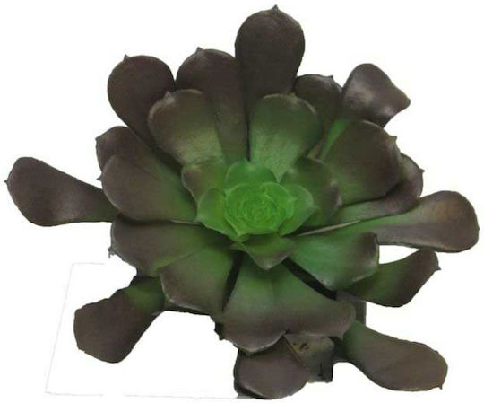 Supergreens Künstliche Vertieft Sukkulente Pflanze Braune 10 cm