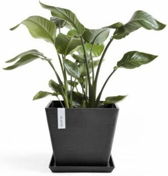 Ecopots Rotterdam Topf Black