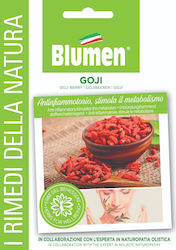 Blumen Σπόροι Μωβ