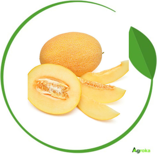 Agrogen Σπόροι Πεπονιού Ananas 20gr