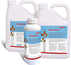 Anthesis Λίπασμα 1lt Anthesis Λίπασμα 1lt