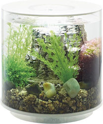Oase Biorb Tube 15 Led Nano-Aquarium Set 15 Liter Oase Biorb Tube 15 Led Nano-Aquarium Set 15 Liter