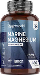 WeightWorld Χηλικό Μαγνήσιο 360mg 180 κάψουλες WeightWorld Χηλικό Μαγνήσιο 360mg 180 κάψουλες