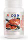 DXN Reishi Gano (RG) 15gr