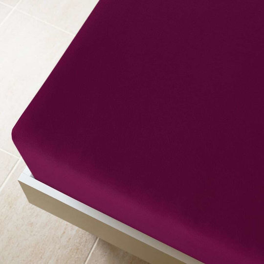 vidaXL Σετ Υπέρδιπλο 160x200εκ. με Λάστιχο Μπορντό