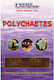 Ocean Nutrition Polychaetes Mono Tray 100g