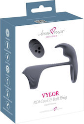 Vylor Rc Cock & Ball Ring