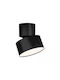Zambelis Lights LED Warm White Spot in Black Color