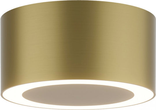 Zambelis Lights LED Warm White Spot in Gold Color