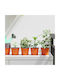 vidaXL Set of 50 Ceramic Flower Pots Orange 10x8cm