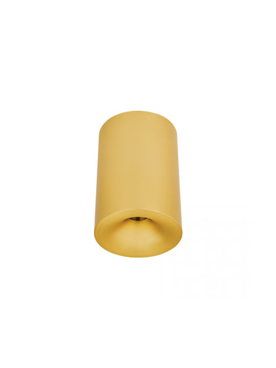 Zambelis Lights Spot Deckenleuchte für den Außenbereich mit integriertem LED in Bronze Farbe 25298 Zambelis Lights Spot Deckenleuchte für den Außenbereich mit integriertem LED in Bronze Farbe 25298