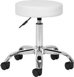 Salon Stools 