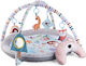 Activity Gym for Newborns
