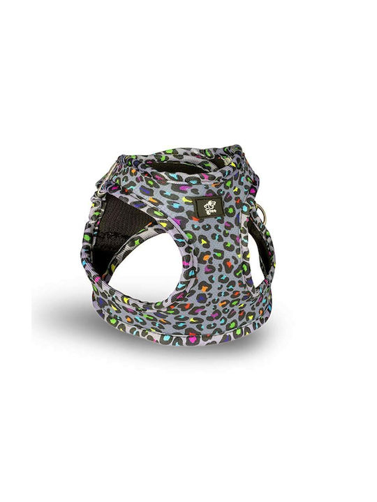 Glee Hundegeschirre Typ 'step In' Indy Leo X-klein 28-32cm Glee Hundegeschirre Typ 'step In' Indy Leo X-klein 28-32cm