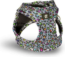 Glee Dog Harness Step In Type Indy Leo X-Small 28-32cm Glee Dog Harness Step In Type Indy Leo X-Small 28-32cm