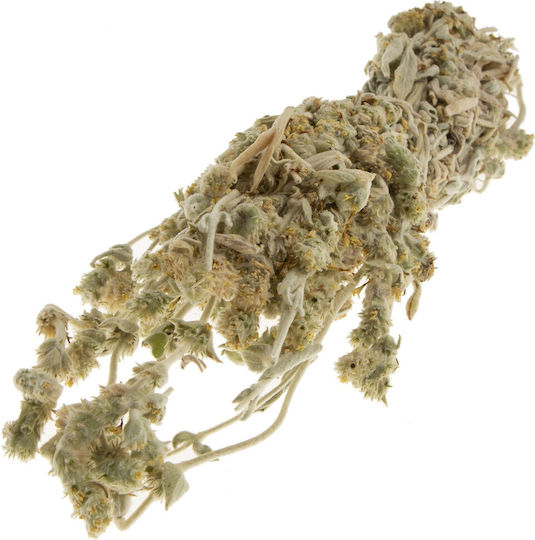 Mountain Tea of Evia Sideritis Matsaki 30 Gr