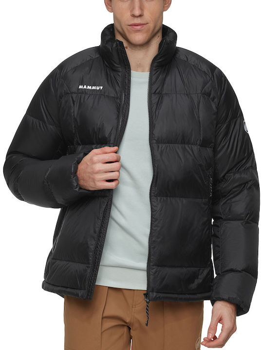 Mammut Mammut