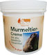 Marmot Fat Cream Vom Pullach Hof 250ml