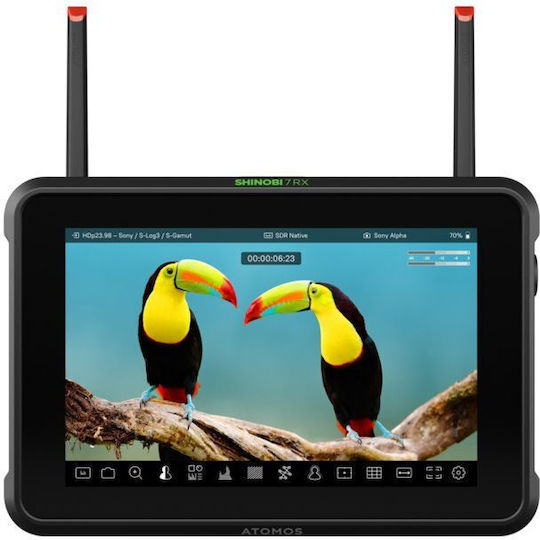 Atomos Shinobi 7 Rx HDMI SDI Monitor & Receiver