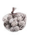 Rayher Christmas Decorative Pine 25pcs